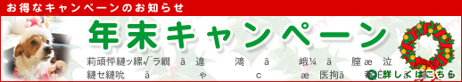 今月は、ドッグエステの割引や素敵なプレゼントをご用意しております☆キレイになって、新年を迎えましょう☆