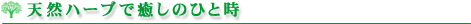 天然ハーブで癒しのひと時