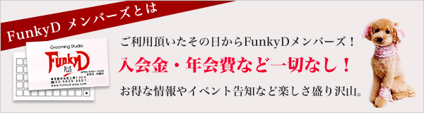 メンバーズ